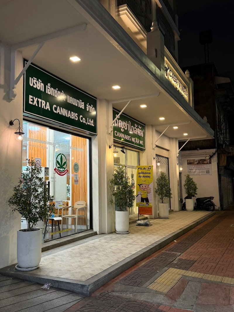 Cannabis Near me กัญชาใกล้ฉัน Cannabis Near me กัญชาใกล้ฉัน