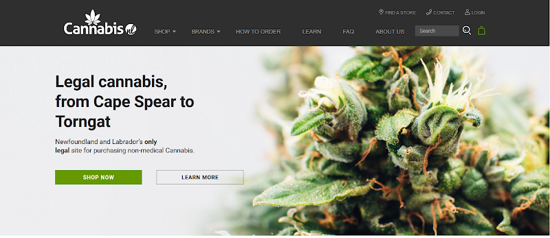 Cannabis NL (Corporate Office) Cannabis NL (Corporate Office)