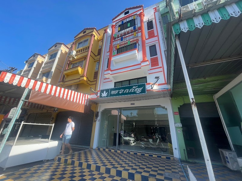 Cannabis shop Phuket (Phuakkan)
