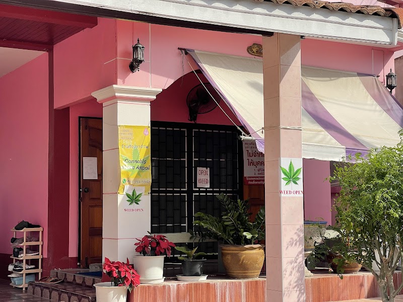 Cannabis Store Ampai