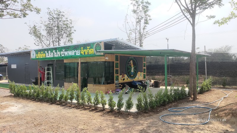 ไร่.. มีกาญและกัญ Cannabis Store & Farm ไร่.. มีกาญและกัญ Cannabis Store & Farm