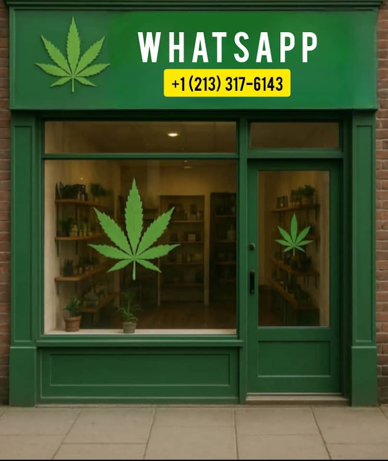 Cannabis Weed Dispensary Estate Cannabis Weed Dispensary Estate