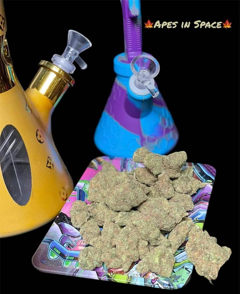 ลงตา​Cannabis