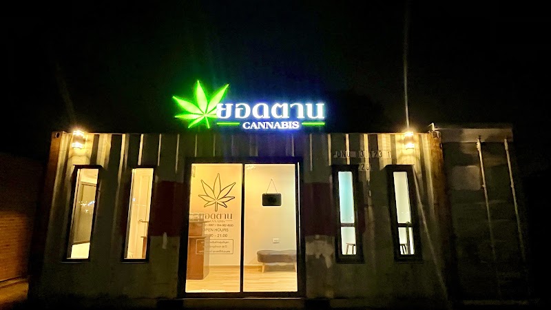 ยอดตาน CANNABIS2 ยอดตาน CANNABIS2