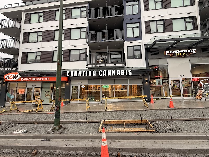 🔥 Canntina Cannabis Dispensary Renfrew 🔥 🔥 Canntina Cannabis Dispensary Renfrew 🔥