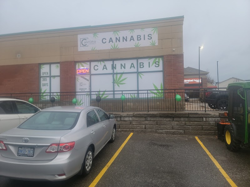 Cantopia Cannabis Co. Cantopia Cannabis Co.