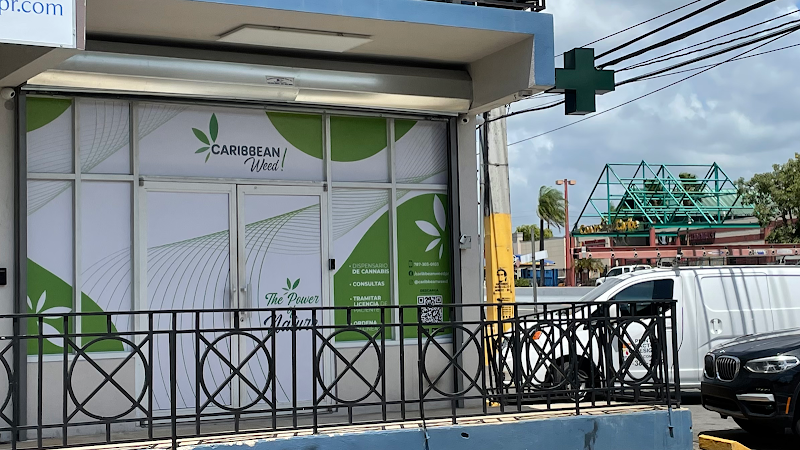 Caribbean Weed Dispensary Vega Alta Caribbean Weed Dispensary Vega Alta