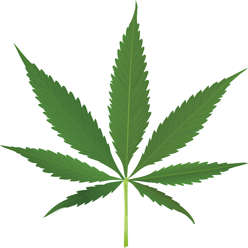 CERTIFIED MARIJUANA DOCTORS