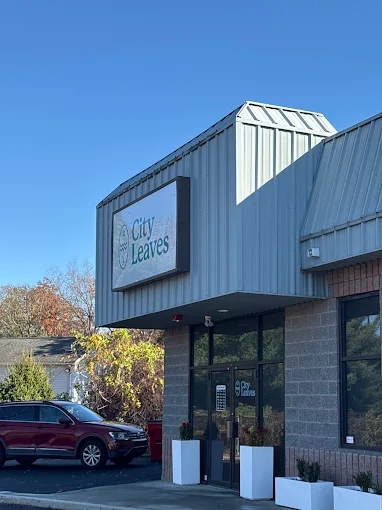 City Leaves LLC