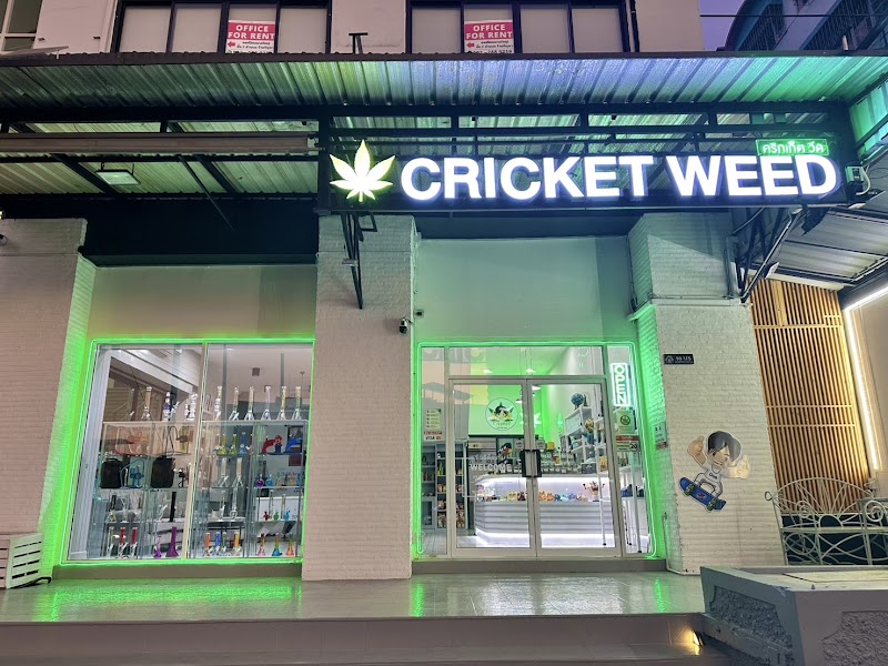 Cricket Sriracha - Cannabis