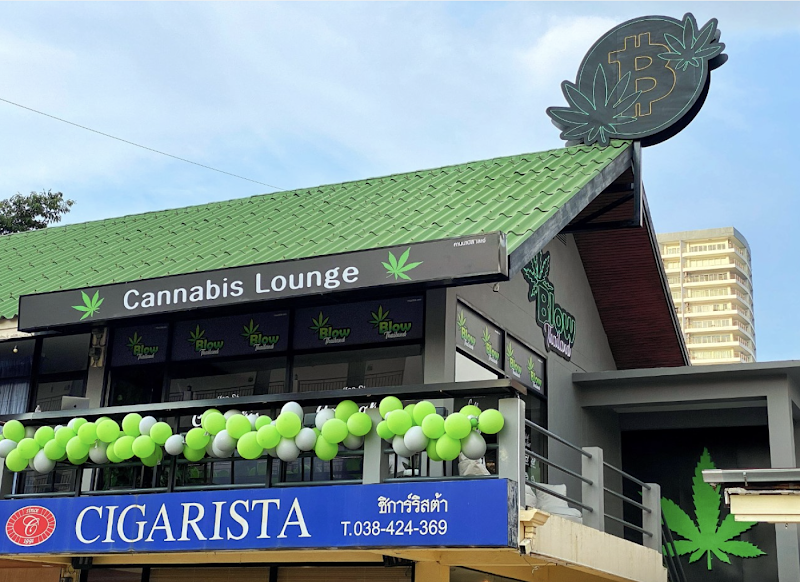 Crypto Station|Cannabis Dispensary|Weed Shop