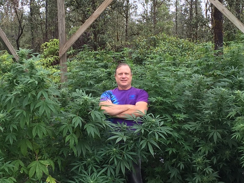 Doctor420hawaii LLC Doctor420hawaii LLC