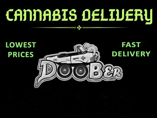 Doober