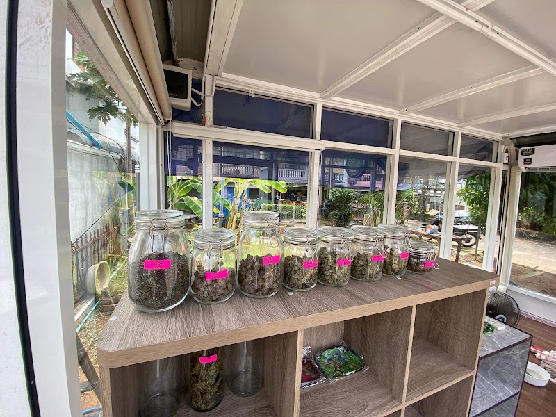 Dope House Cannabis Shop Dope House Cannabis Shop
