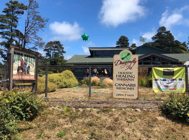 Dragonfly Wellness Center Dragonfly Wellness Center