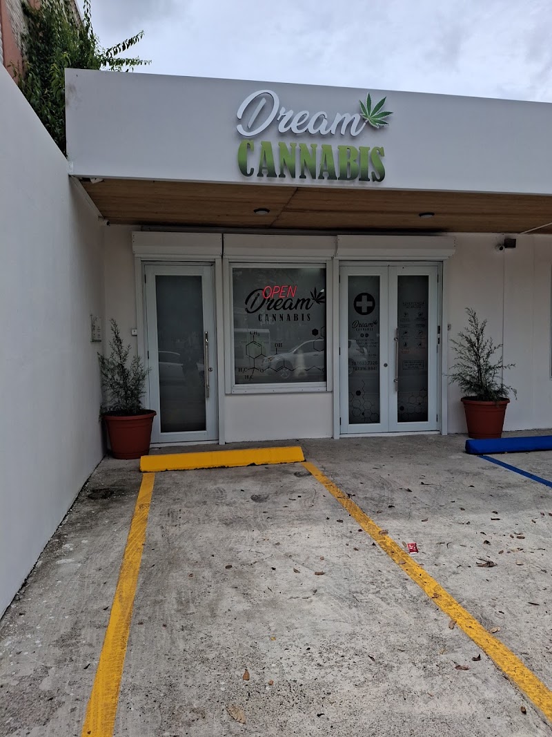 Dream Cannabis Dispensary Dream Cannabis Dispensary