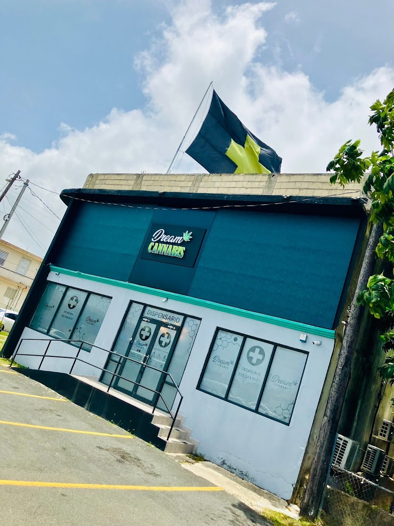 Dream Cannabis Dispensary