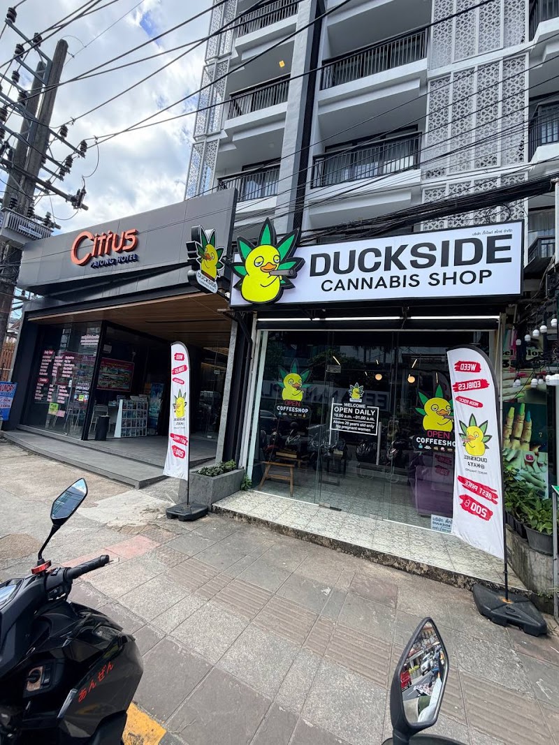 DUCKSIDE cannabis shop Patong DUCKSIDE cannabis shop Patong