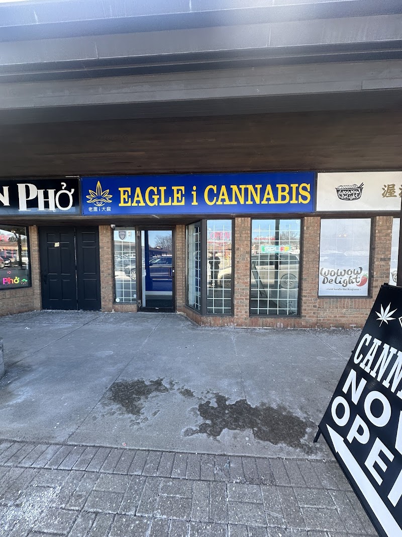 Eagle i Cannabis | CBD & Weed Dispensary | Free Delivery within 1* hour | Mississauga Eagle i Cannabis | CBD & Weed Dispensary | Free Delivery within 1* hour | Mississauga