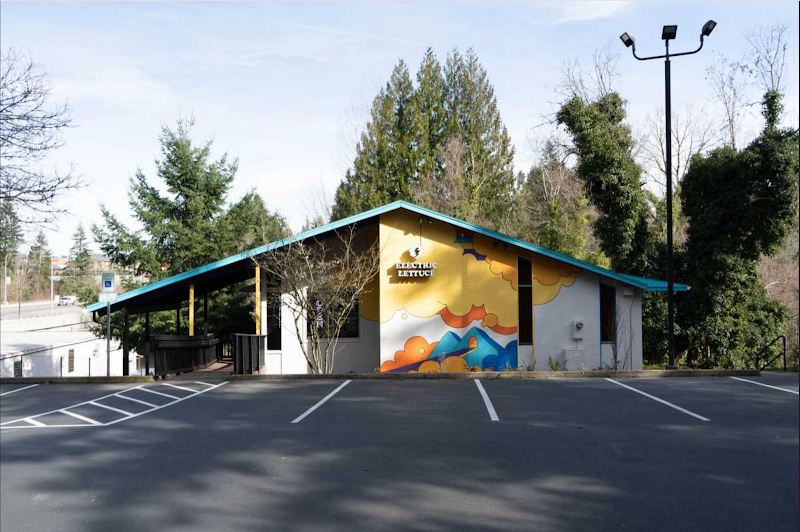 Electric Lettuce Dispensary Electric Lettuce Dispensary