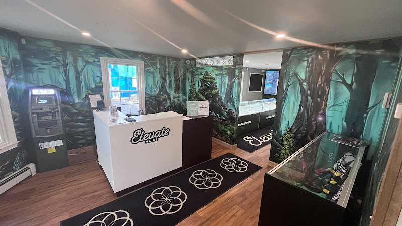 Elevate Maine - Medical Cannabis