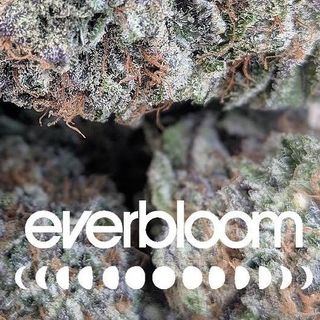 Everbloom Rifle Medical Dispensary