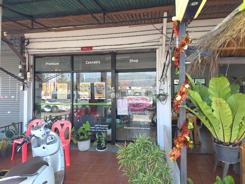 Feel Good 420 – Cannabis Dispensary ร้านกัญชาสี่แยกพืชสวนโลก