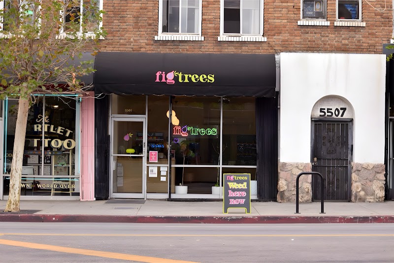 Fig Trees