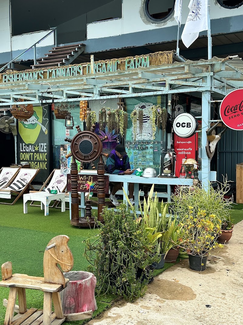 Fisherman’s Cannabis Organic Farm Koh Samui