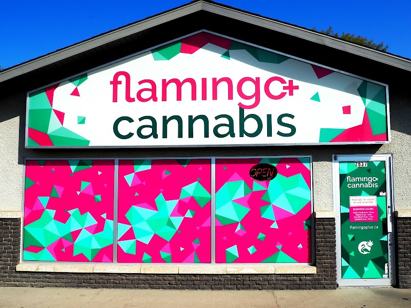 Flamingo+ Cannabis Flamingo+ Cannabis