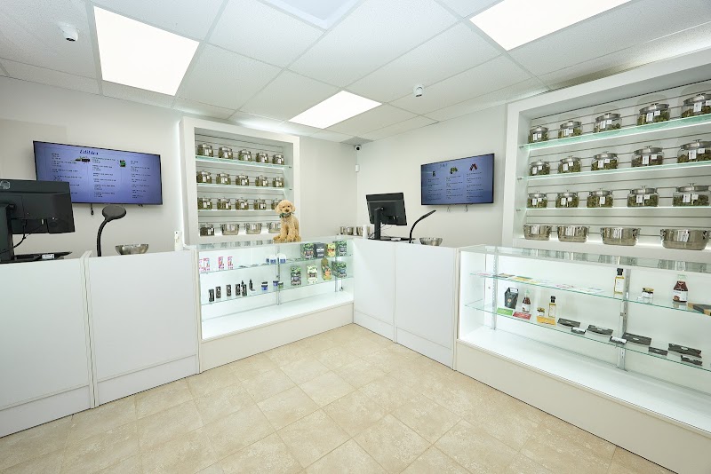 Fleur Dispensario Caguas