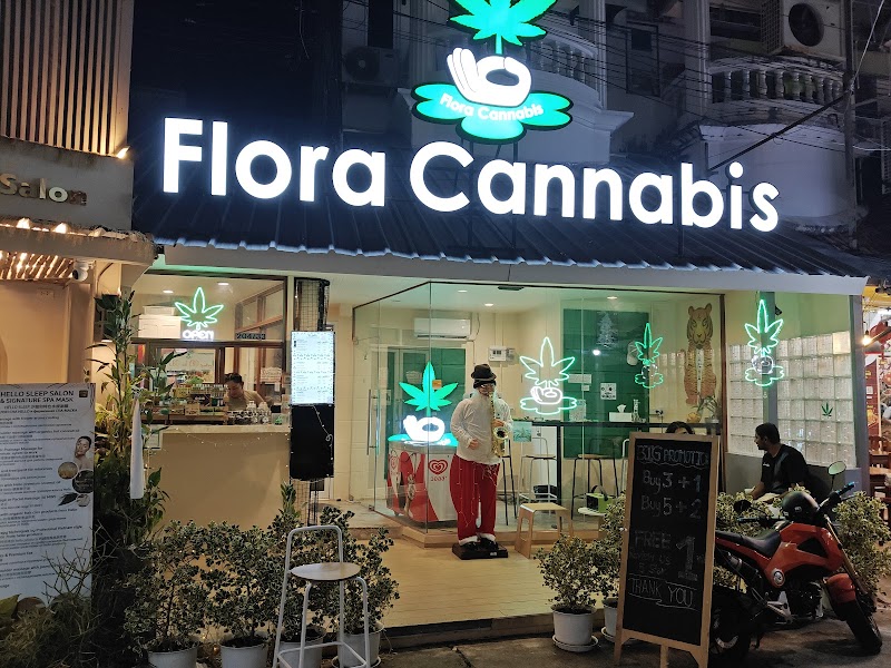 Flora Cannabis Patong Flora Cannabis Patong