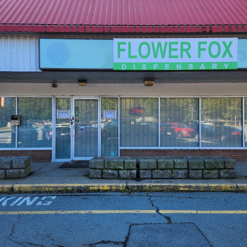 Flower Fox