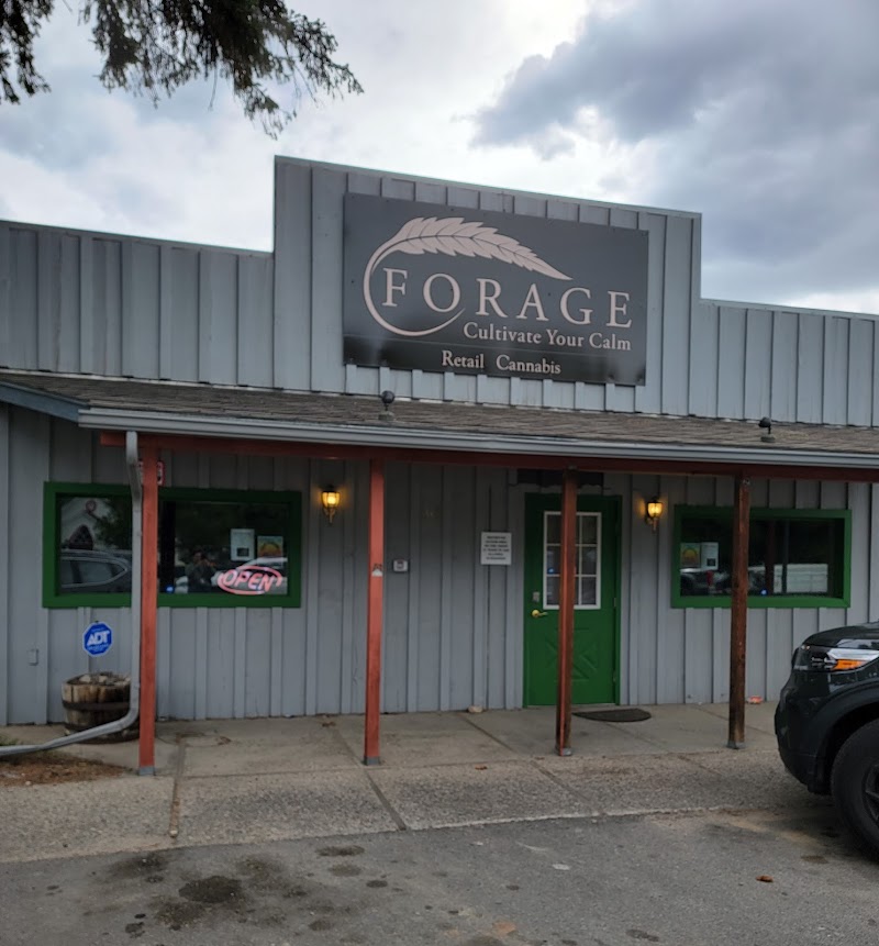 Forage - Marijuana Dispensary - Retail/Recreational Cannabis Dispensary Forage - Marijuana Dispensary - Retail/Recreational Cannabis Dispensary