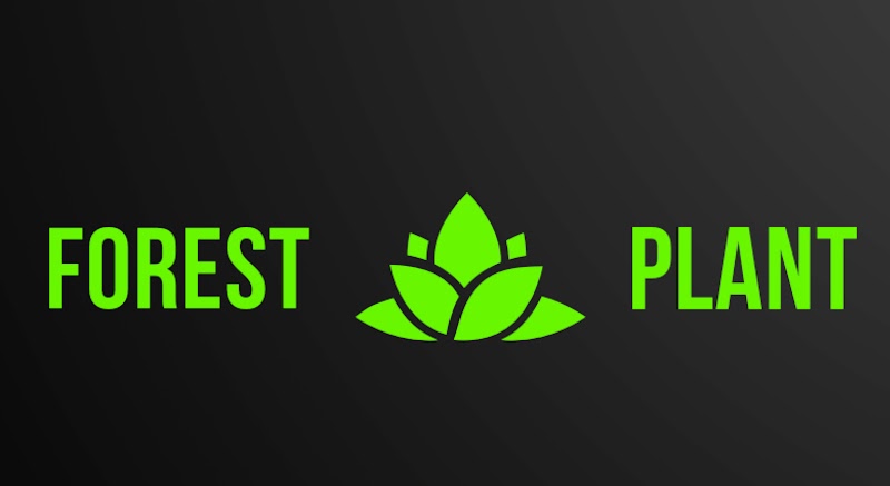 Forest Plant Cannabis Dispensary Forest Plant Cannabis Dispensary