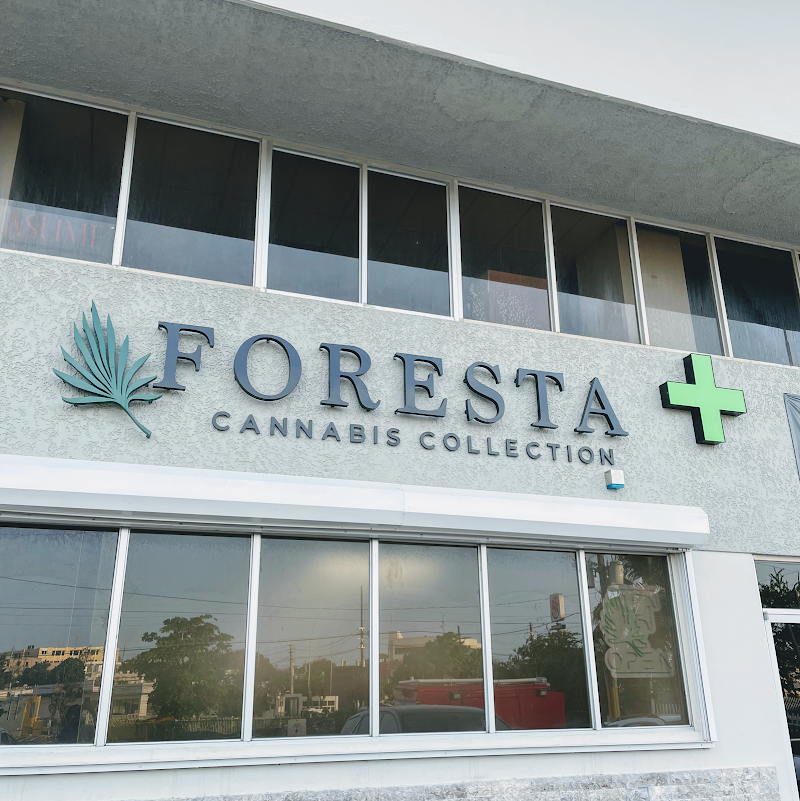 Foresta Cannabis Collection Foresta Cannabis Collection