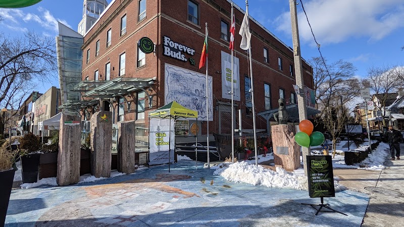 Forever Buds