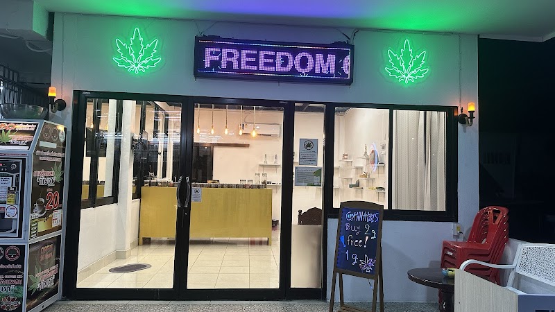 Freedom cannabis koh tao Freedom cannabis koh tao