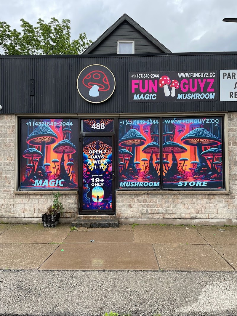 FunGuyz - Magic Mushroom Dispensary FunGuyz - Magic Mushroom Dispensary