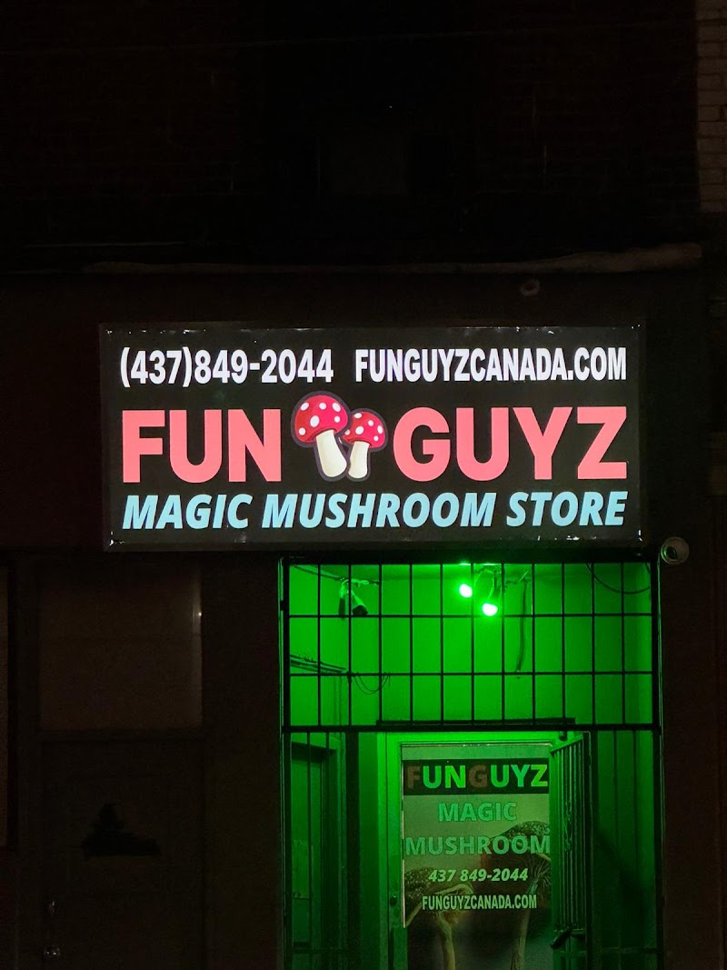 FunGuyz - Magic Mushroom Dispensary FunGuyz - Magic Mushroom Dispensary