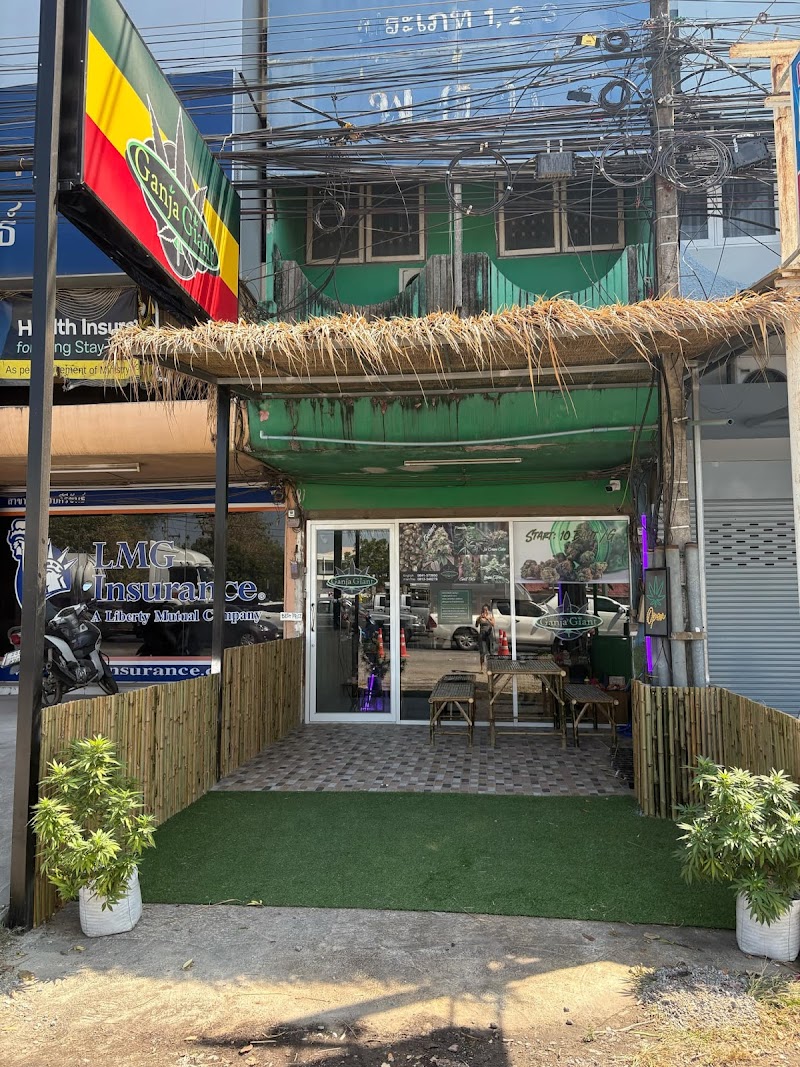 Ganja Giant 2, Pranburi - (Cannabis, Tobacco, Beer and Games!)