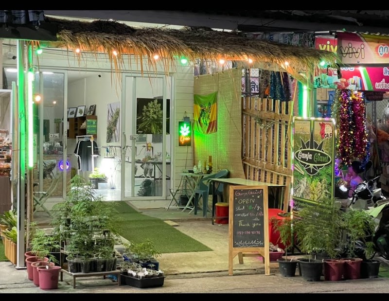 Ganja Giant - Hua Hin. (cannabis, Hash, Nicotine products & Beer