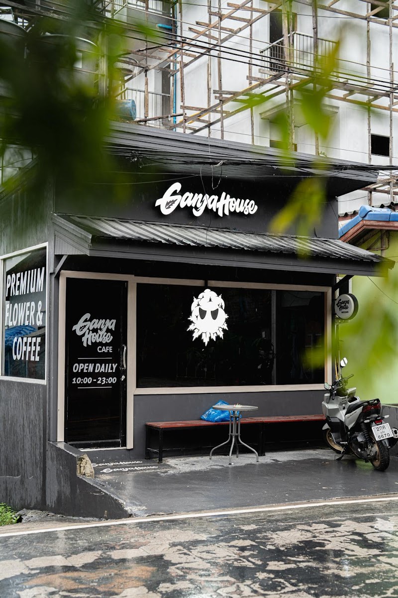 Ganja House Cafe | Cannabis Dispensary Patong Phuket | 大麻之家 | Best Weed Shop Ganja House Cafe | Cannabis Dispensary Patong Phuket | 大麻之家 | Best Weed Shop