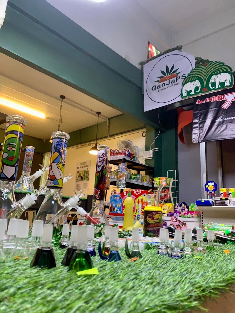 GanJa PS (ร้านกัญชาหน้า ผส.)
