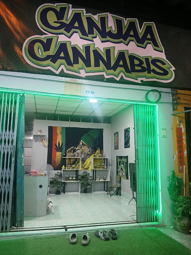 GANJAA CANNABIS SHOP GANJAA CANNABIS SHOP