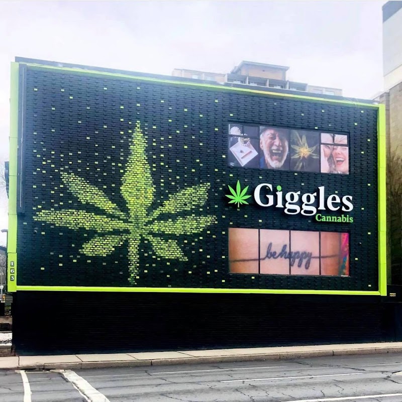 Giggles Cannabis | Hamilton Dispensary Giggles Cannabis | Hamilton Dispensary