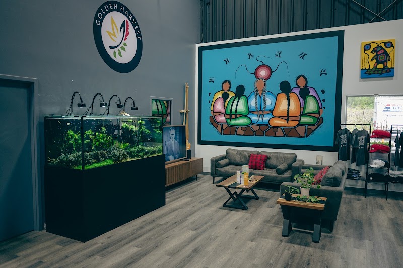 Golden Harvest Cannabis Co.