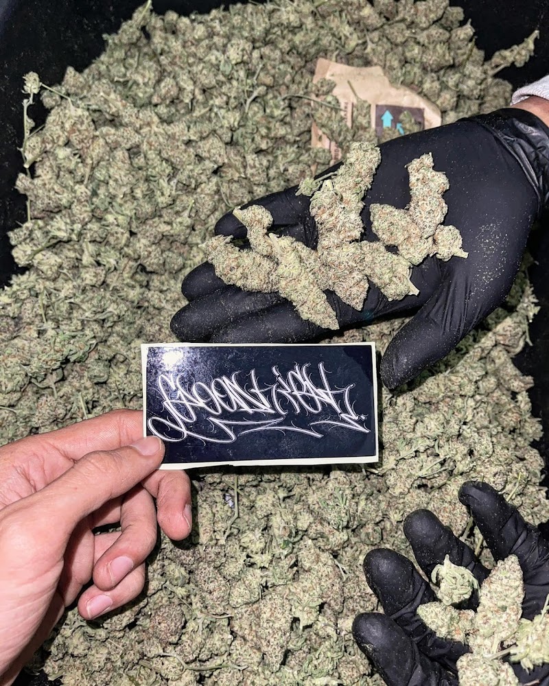 GOOD HIGH CANNABIS ร้านกัญชาใกล้ฉัน