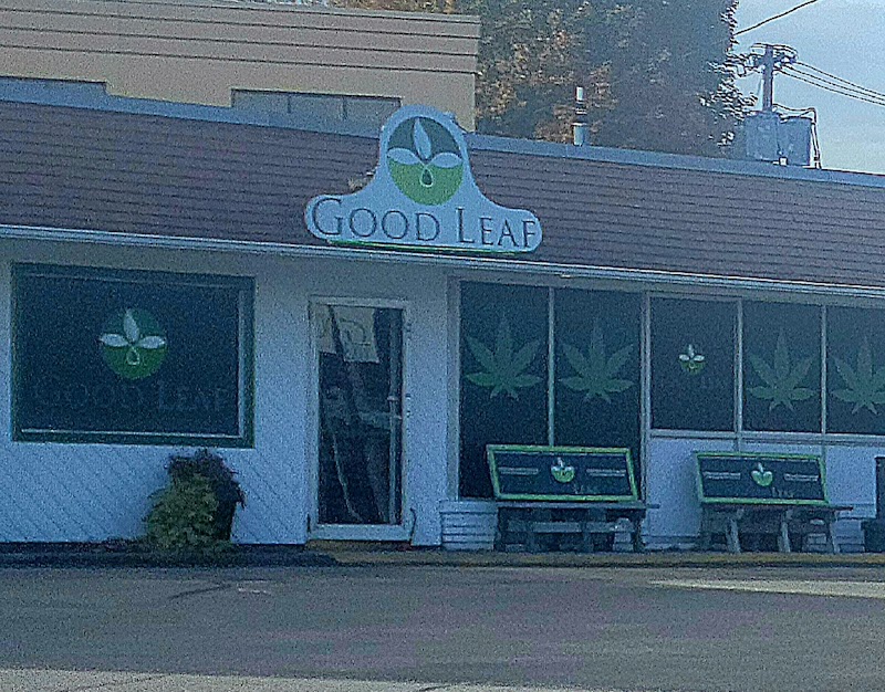 Good Leaf Salamanca Good Leaf Salamanca