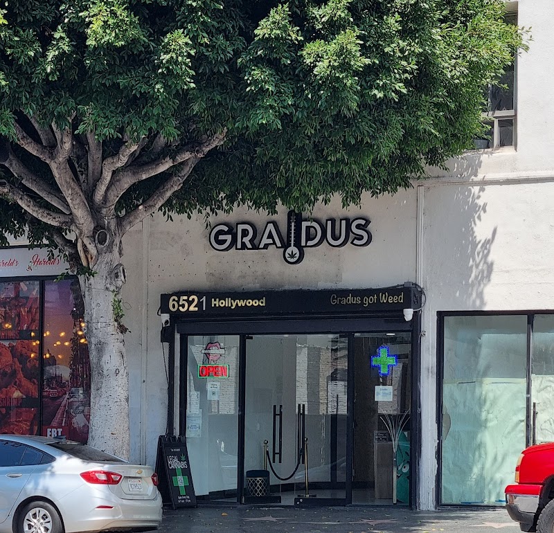 Gradus Hollywood Weed Store